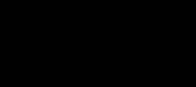 Hvidskævet delfin